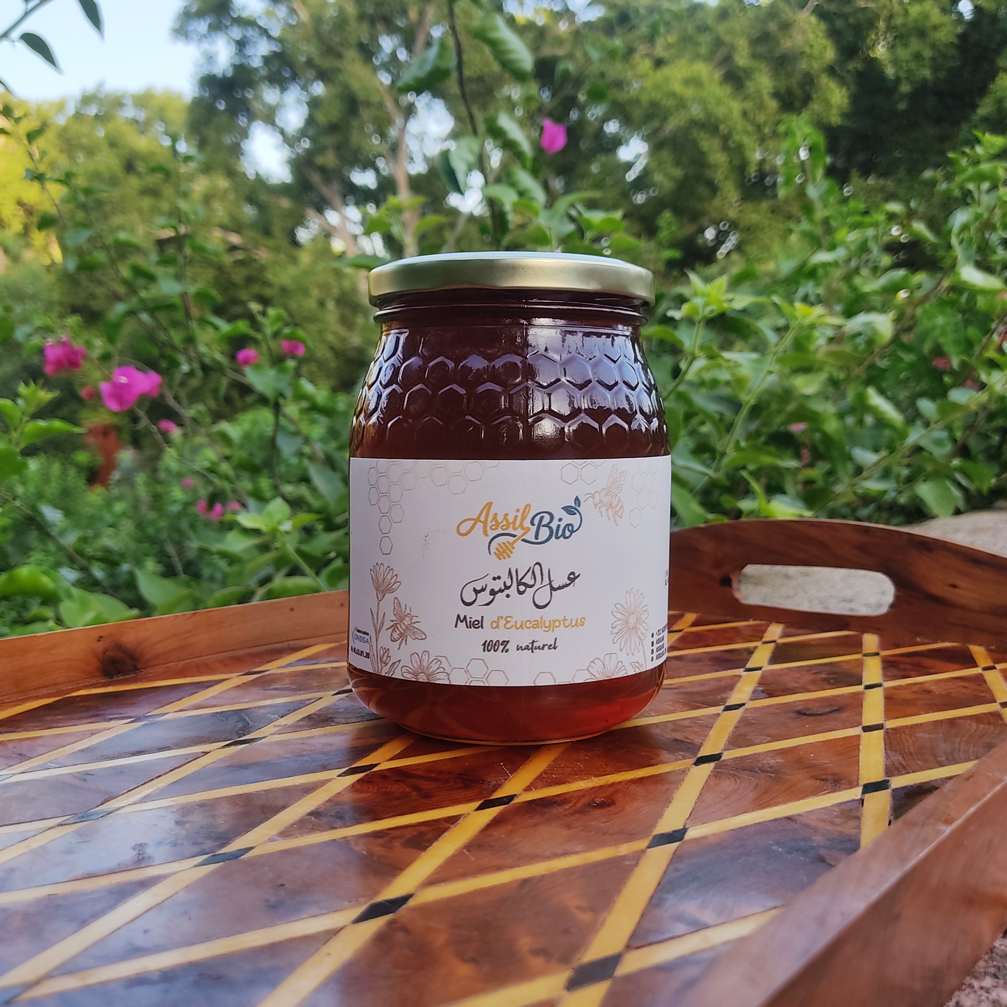 Miel d'Eucalyptus