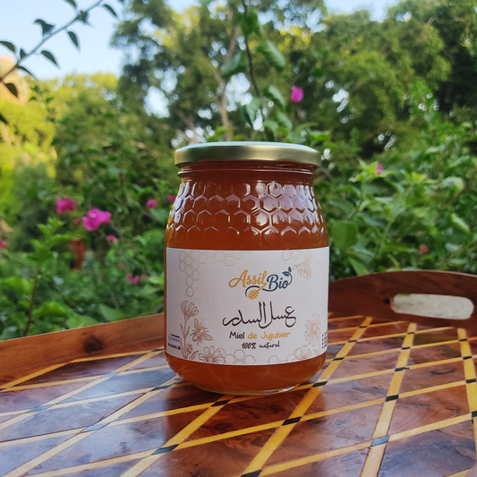 Miel de Jujubier